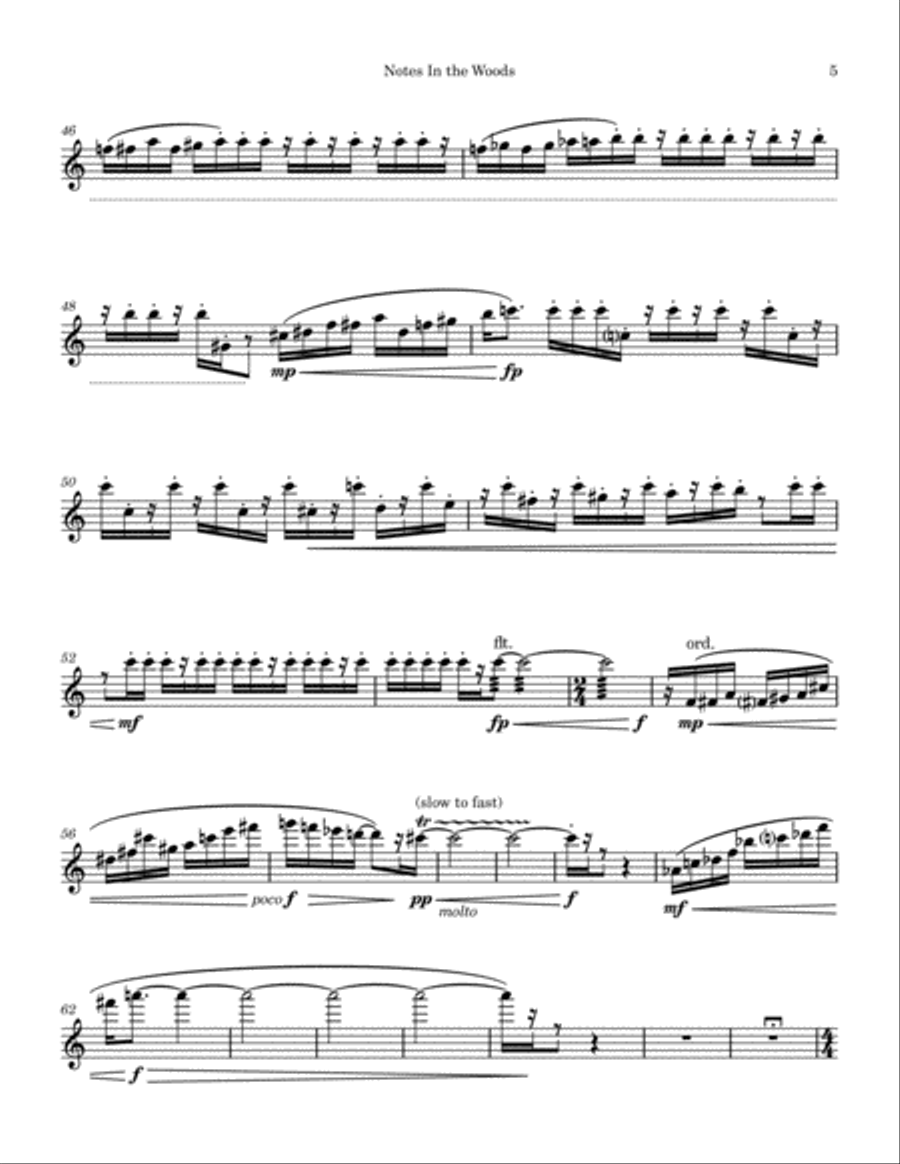 Notes In the Woods for solo flute Flute Solo scores gallery preview page 5