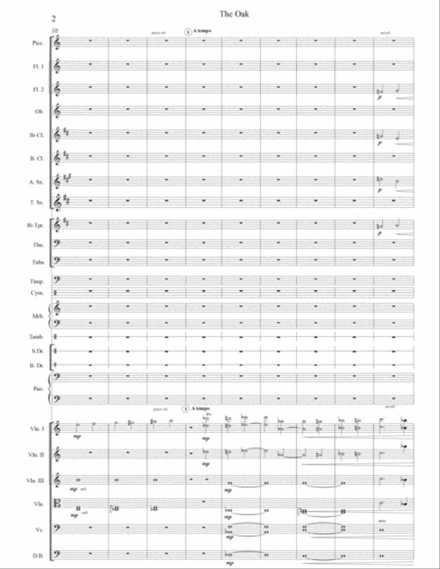 The Oak Chamber Orchestra scores gallery preview page 2