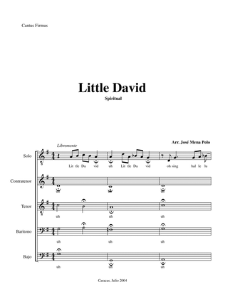 Little David