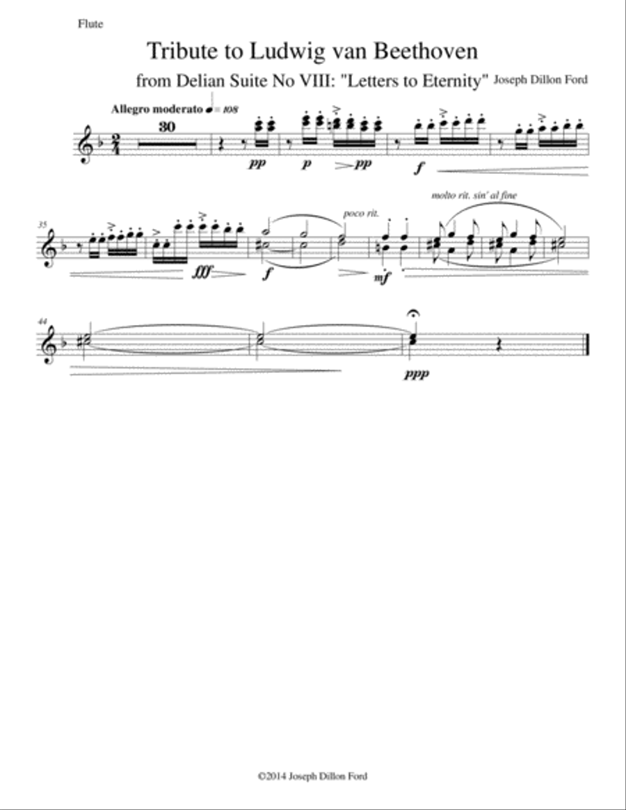 Tribute to Ludwig van Beethoven for chamber orchestra