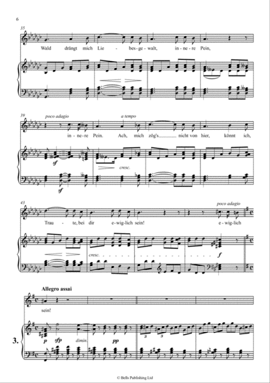 An die ferne Geliebte, Op. 98 (D Major) Voice Solo scores gallery preview page 6