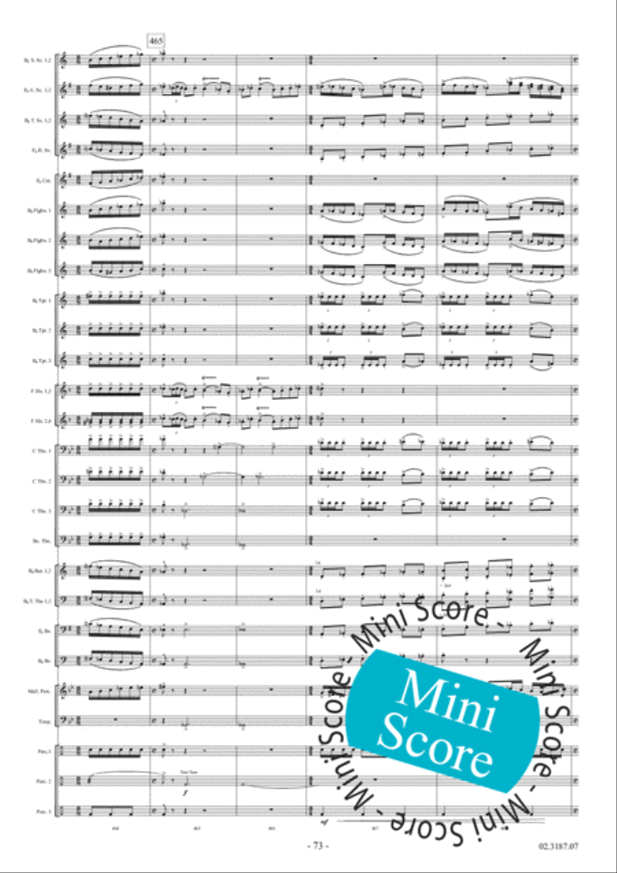 Fleodrodum Fanfare Band scores gallery preview page 79