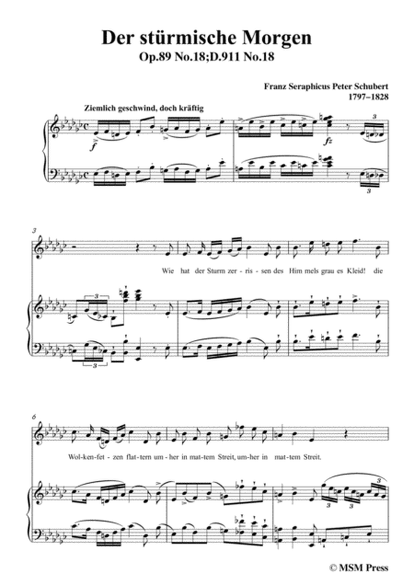 Schubert-Der stürmische Morgen,from 'Winterreise',Op.89(D.911) No.18,in e flat minor,for Voice&Piano image number null