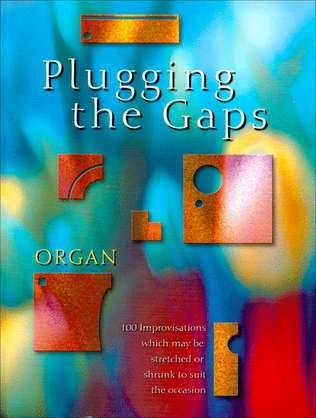 Book cover for Plugging the Gaps - Organ