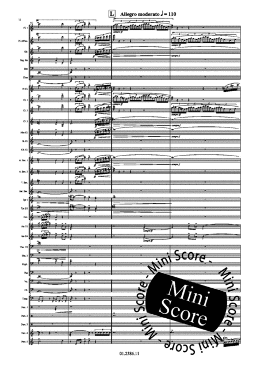 Skies Concert Band scores gallery preview page 20