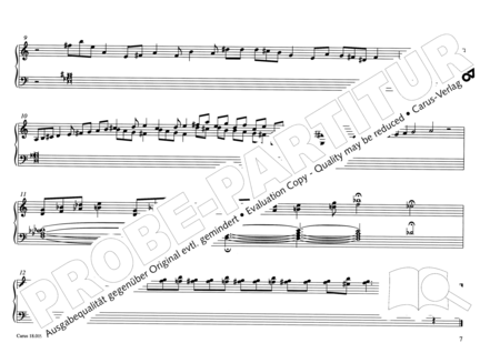 de Kort: Improvisations for Organ solo