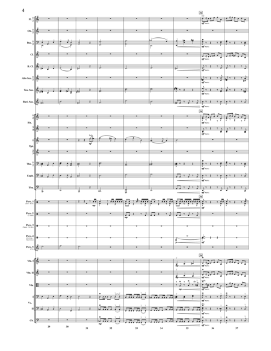The Medallion Calls Full Orchestra scores gallery preview page 6