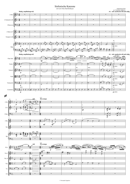 Sinfonische Kanzone (Symphonic Canzona) for Flute and Chamber Orchestra image number null