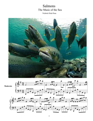 "Salmons" The Music of The Sea