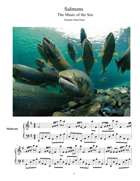 "Salmons" The Music of The Sea image number null