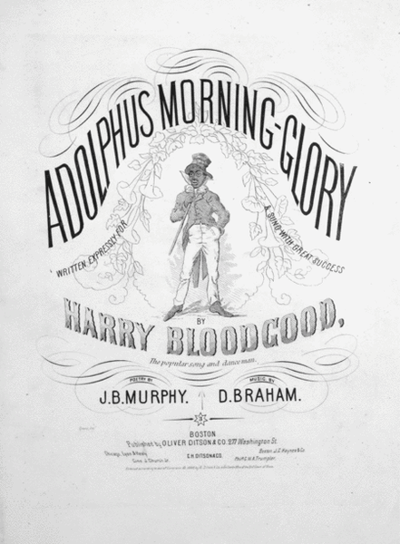 Adolphus Morning-Glory
