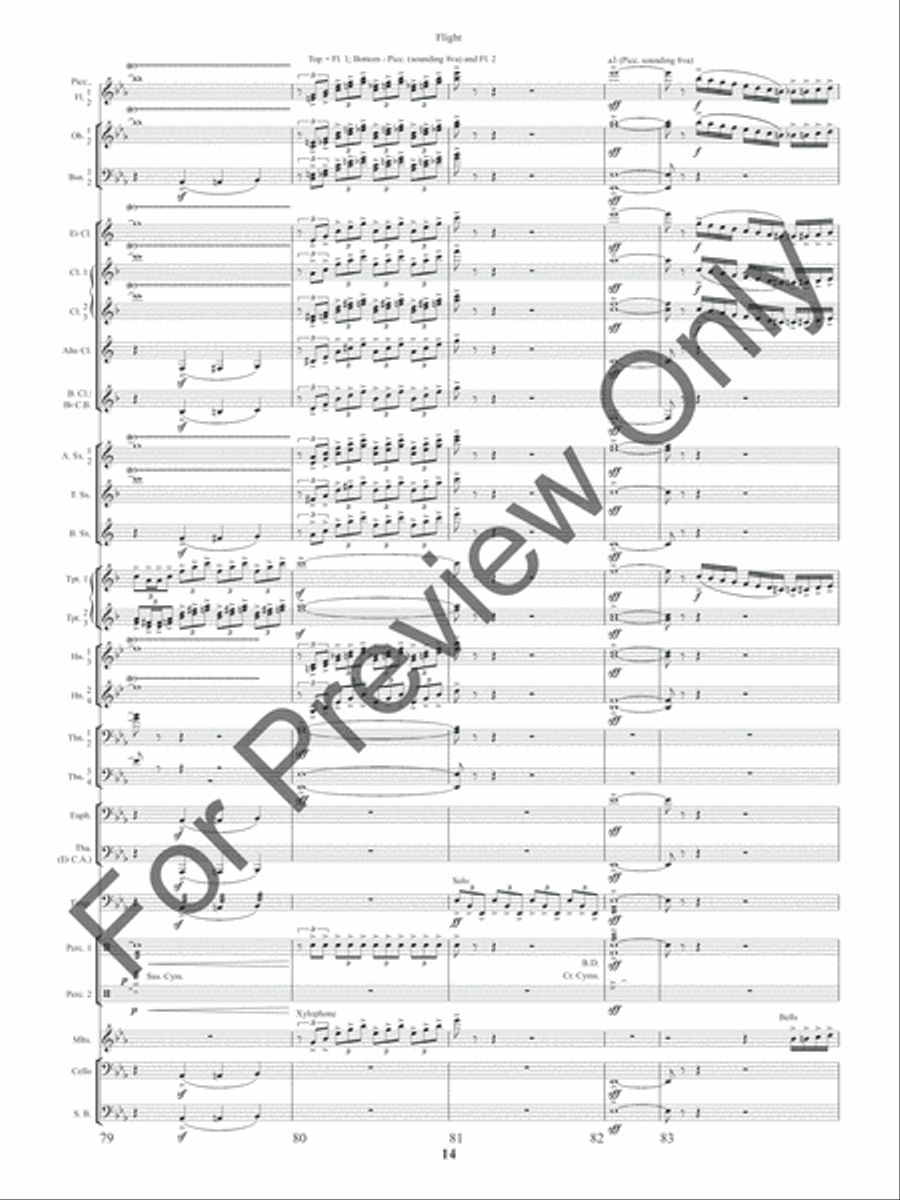 Flight (Score) Concert Band scores gallery preview page 17