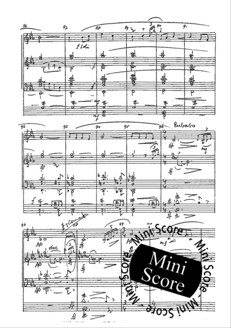 Polderstad Fanfare Band scores gallery preview page 9