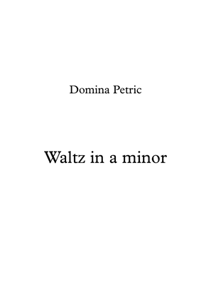Book cover for Waltz a minor