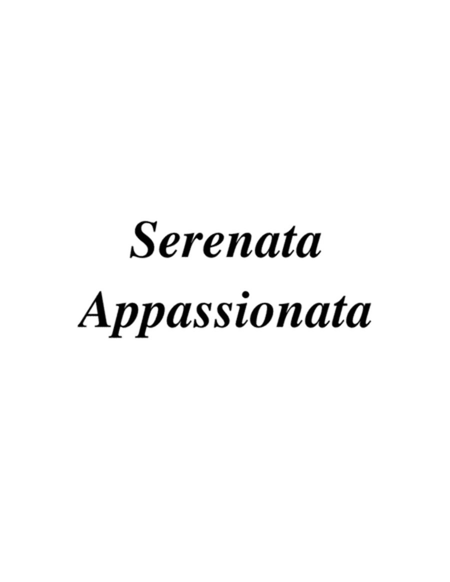 Opus 71b, "Serenata Appassionata" for Guitar & Bass Guitar image number null