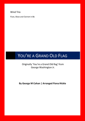 Book cover for You're a Grand Old Flag