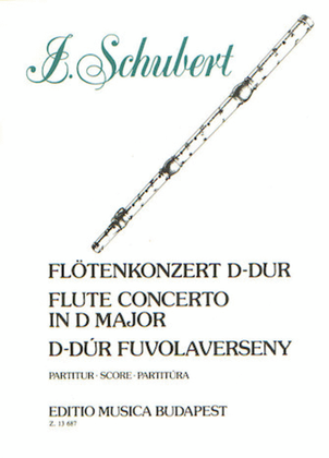 Fluteconcert In D