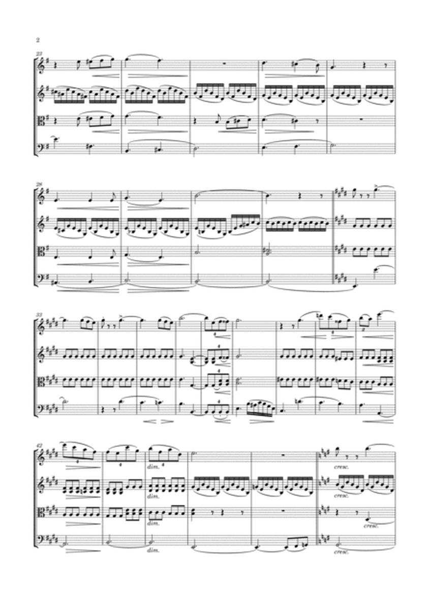Zitterbart - String Quartet No.14 in E minor, "Am Rhein" image number null