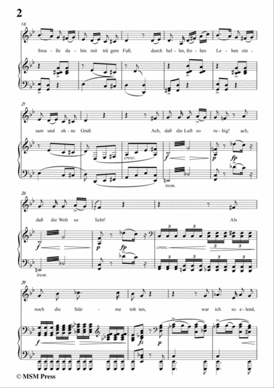 Schubert-Einsamkeit,from 'Winterreise',Op.89(D.911) No.12,in g minor,for Voice&Pno Voice scores gallery preview page 4