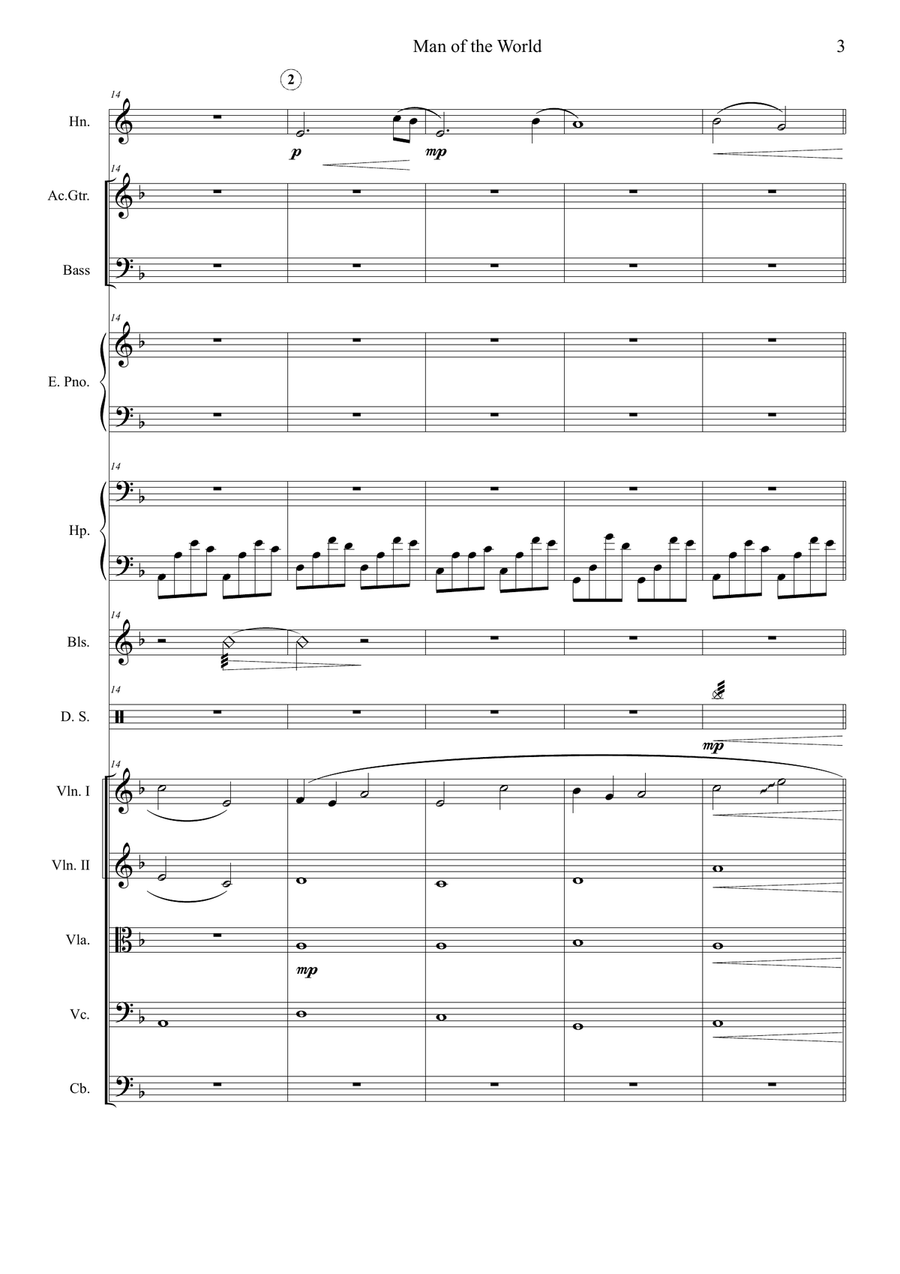 Man Of The World Chamber Orchestra scores gallery preview page 3