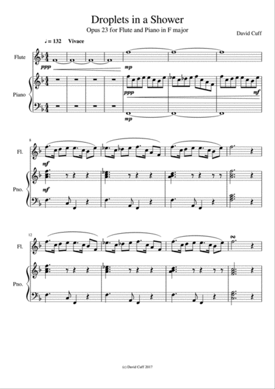 Droplets in a Shower Woodwind Duet scores gallery preview page 2