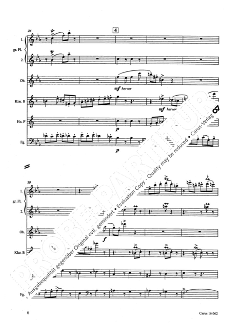 Musik fur sechs Blaser Musik fur sechs Blaser Bassoon scores gallery preview page 9