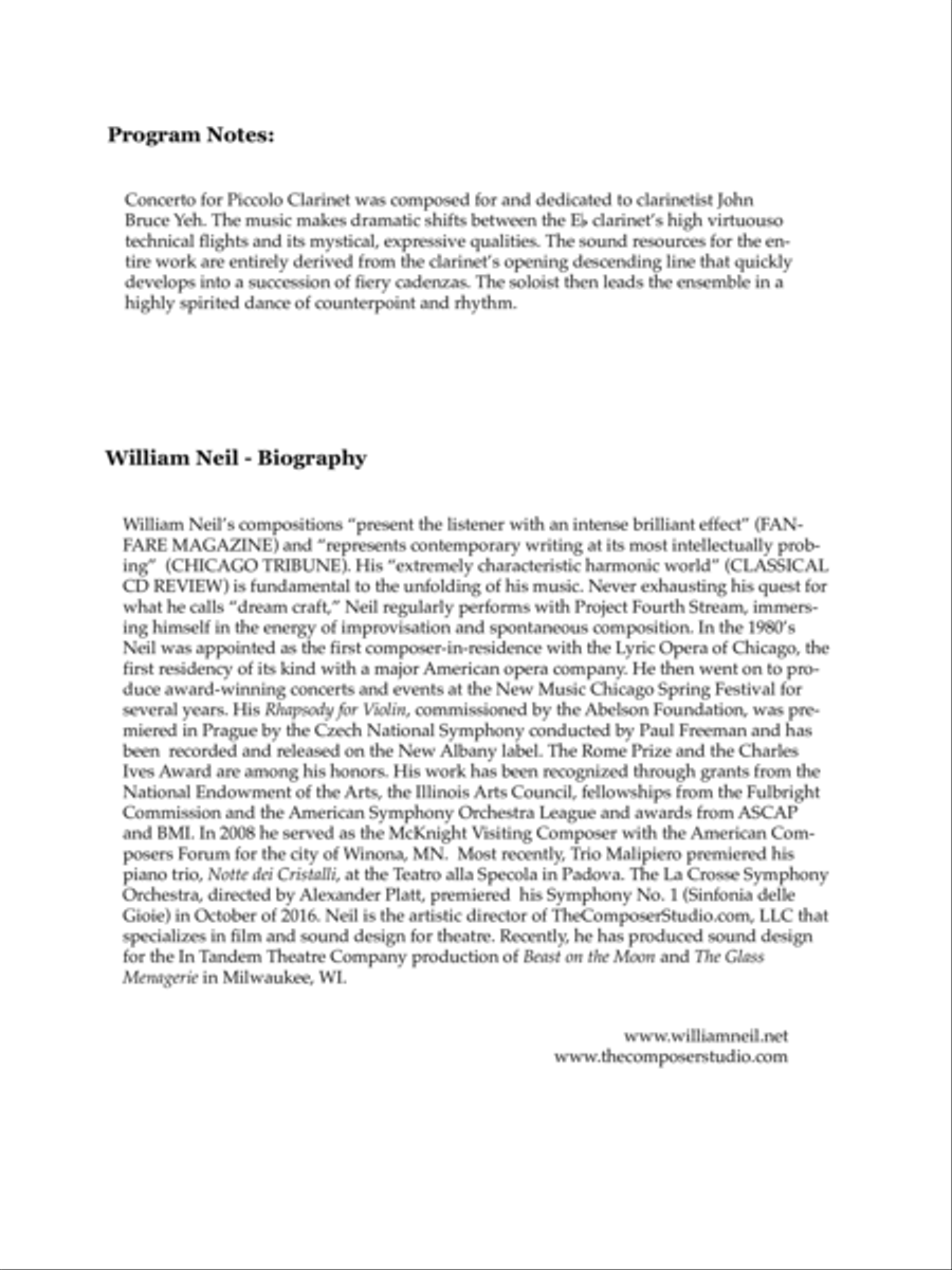 Concerto for Piccolo Clarinet Small Ensemble scores gallery preview page 4