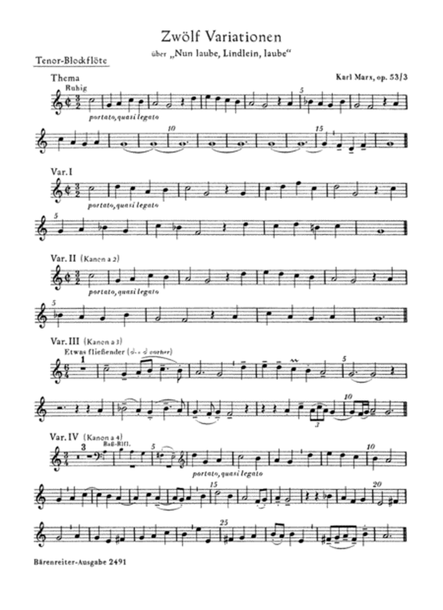 12 Variationen uber "Nun laube, Lindlein, laube" fur Blockflotenquartett oder andere Instrumente op. 53/3 (1954)