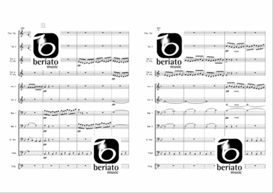 Le Nozze Di Figaro Percussion scores gallery preview page 23