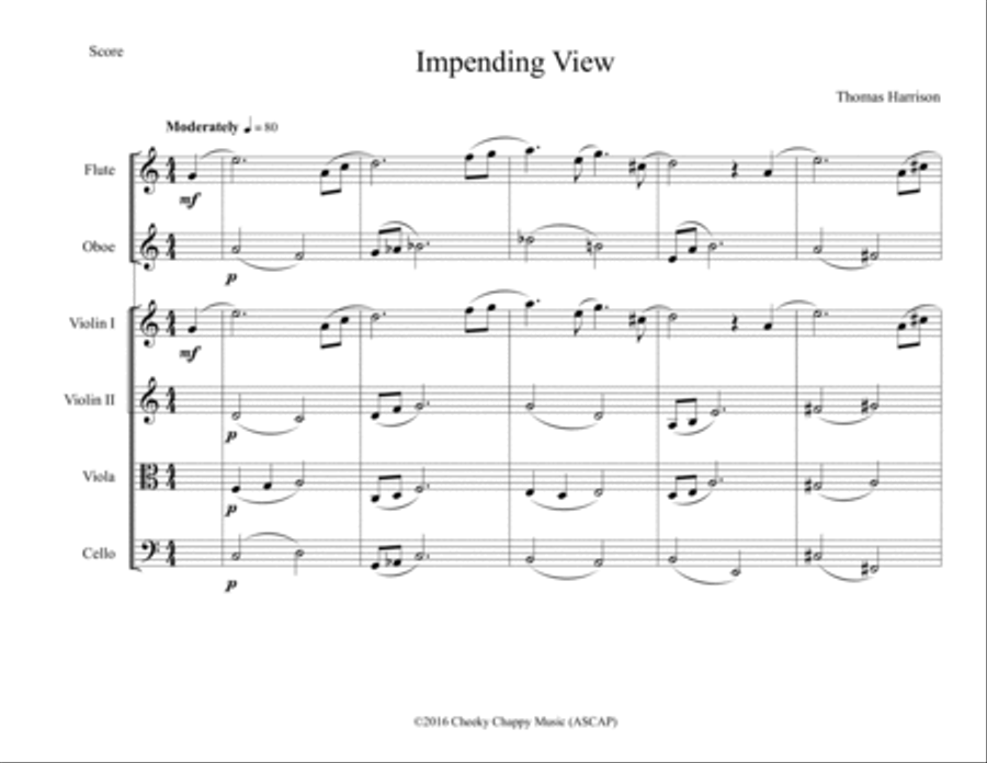 Impending View Impending View Chamber Orchestra scores gallery preview page 2