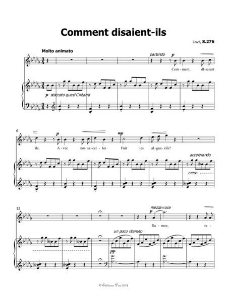 Comment disaient-ils, by Liszt, in b flat minor