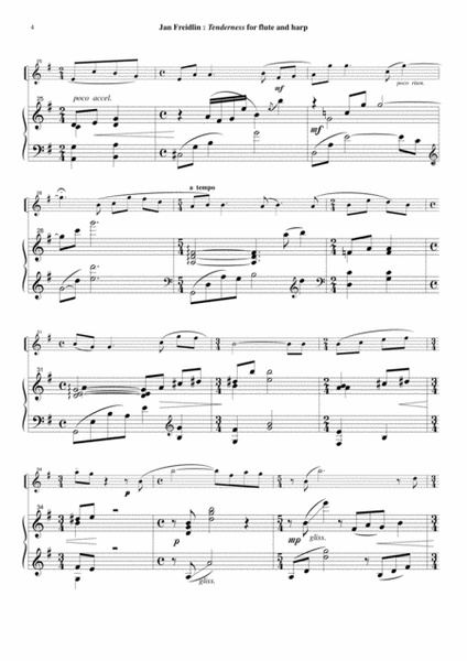 Jan Freidlin: Tenderness for flute and harp
