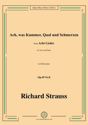 Richard Strauss-Ach,was Kummer,Qual und Schmerzen,in b flat minor