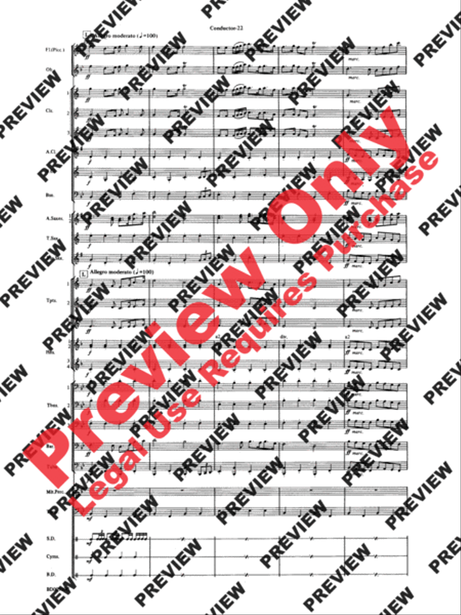 The Civil War Concert Band scores gallery preview page 24