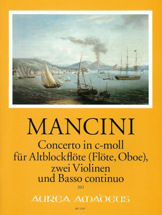 Book cover for Concerto C minor