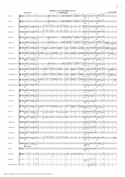 Sinfonia 5 (Beethoven's 5th Symphony, 1th movement - transcription for Concert Band) image number null