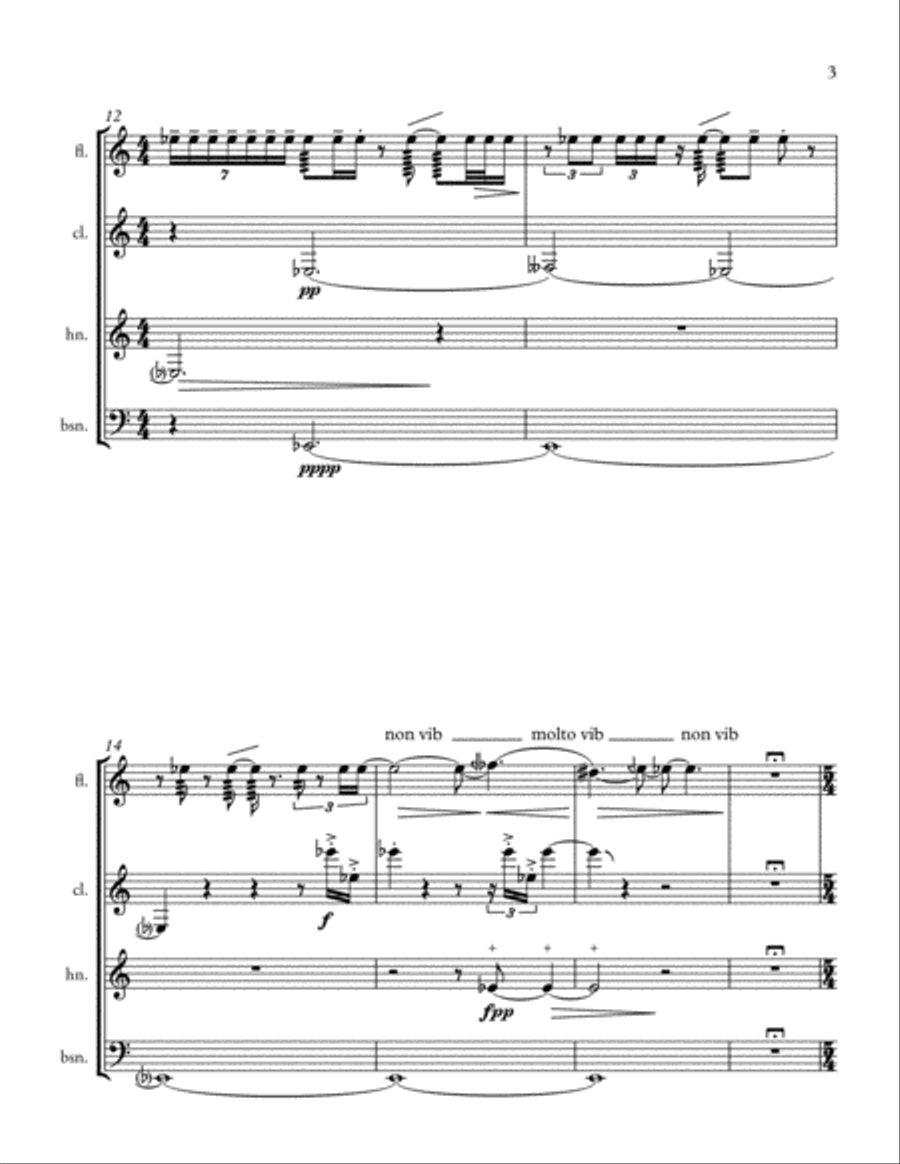 Fons et origo Woodwind Quintet scores gallery preview page 6