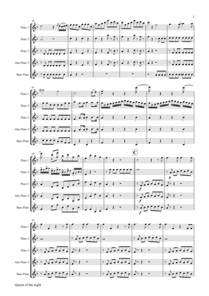 The Magic Flute Queen of the night - KV 620 W.A.Mozart - Flute Quartet - D-Minor