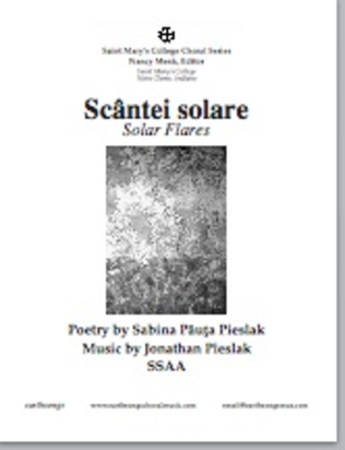 Book cover for scantei solare (solar flares)