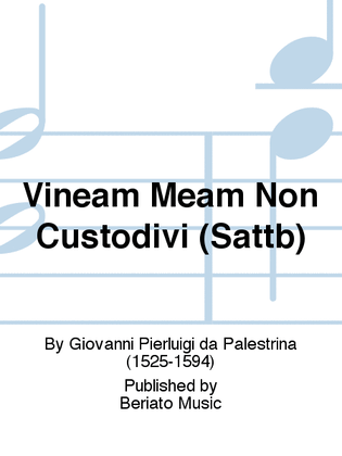 Book cover for Vineam Meam Non Custodivi (Sattb)