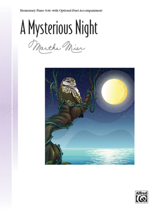 Book cover for A Mysterious Night