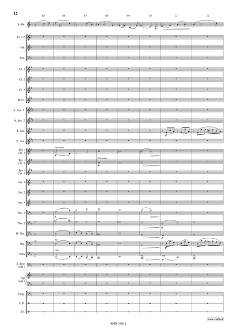 Horn Concerto Concert Band scores gallery preview page 13