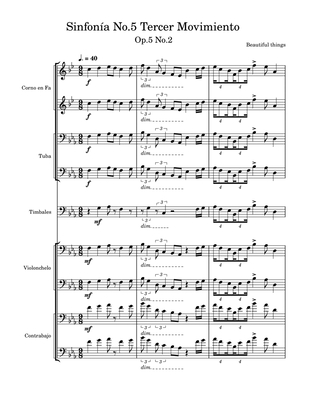 Sinfonía No.5(Tercer Movimiento)-Beautiful things Op.5 No.2