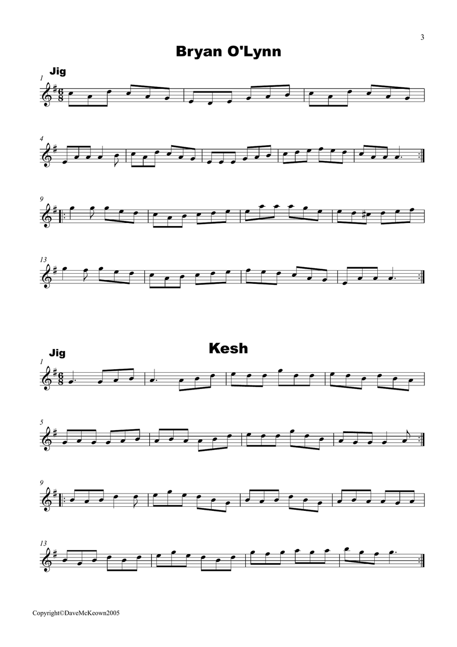 Irish Dance Music Vol.2 for Flute; 50 Jigs, Reels, Hornpipes and more.... Flute Solo scores gallery preview page 3