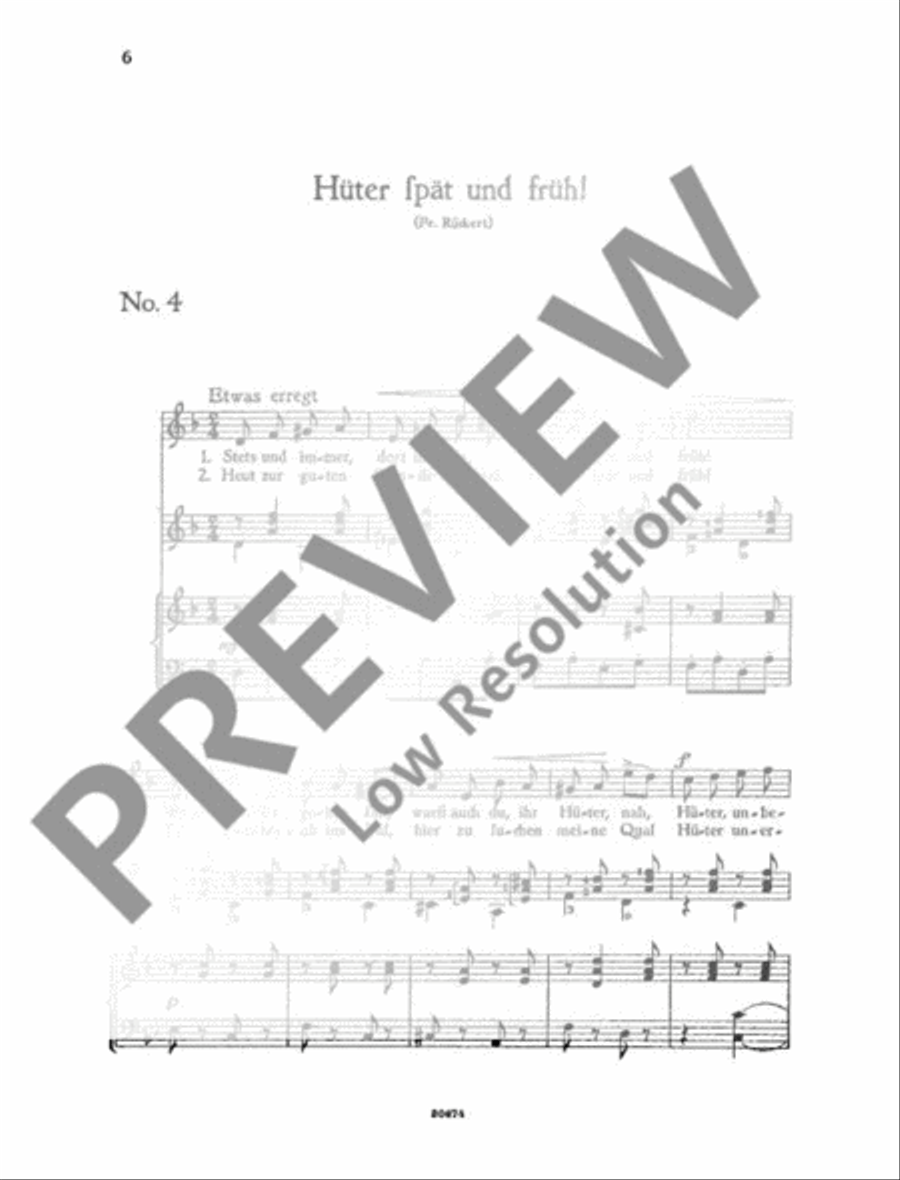 Lieder zur Laute Lieder zur Laute Voice Solo scores gallery preview page 9