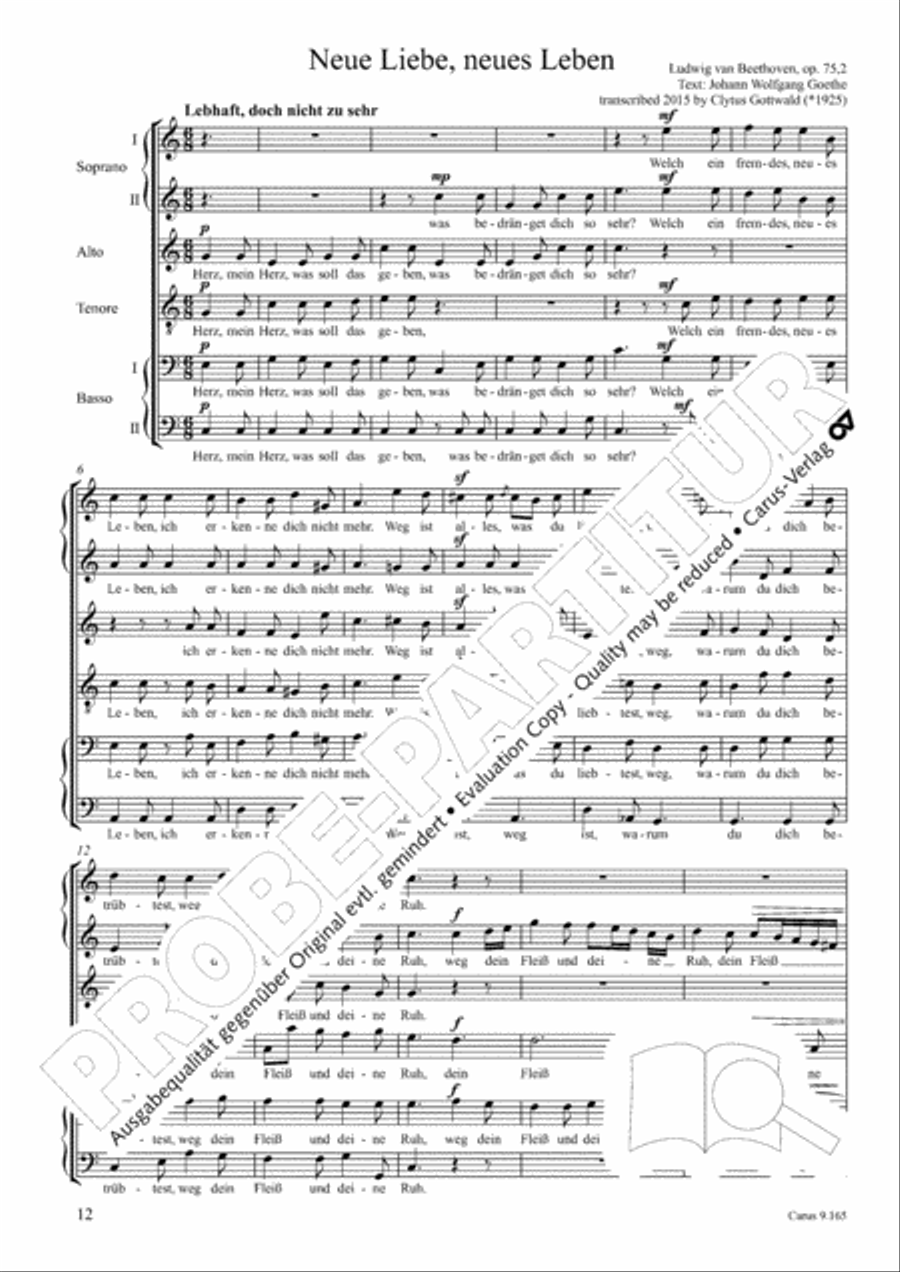 Drei Lieder nach Texten von Goethe Choir scores gallery preview page 13