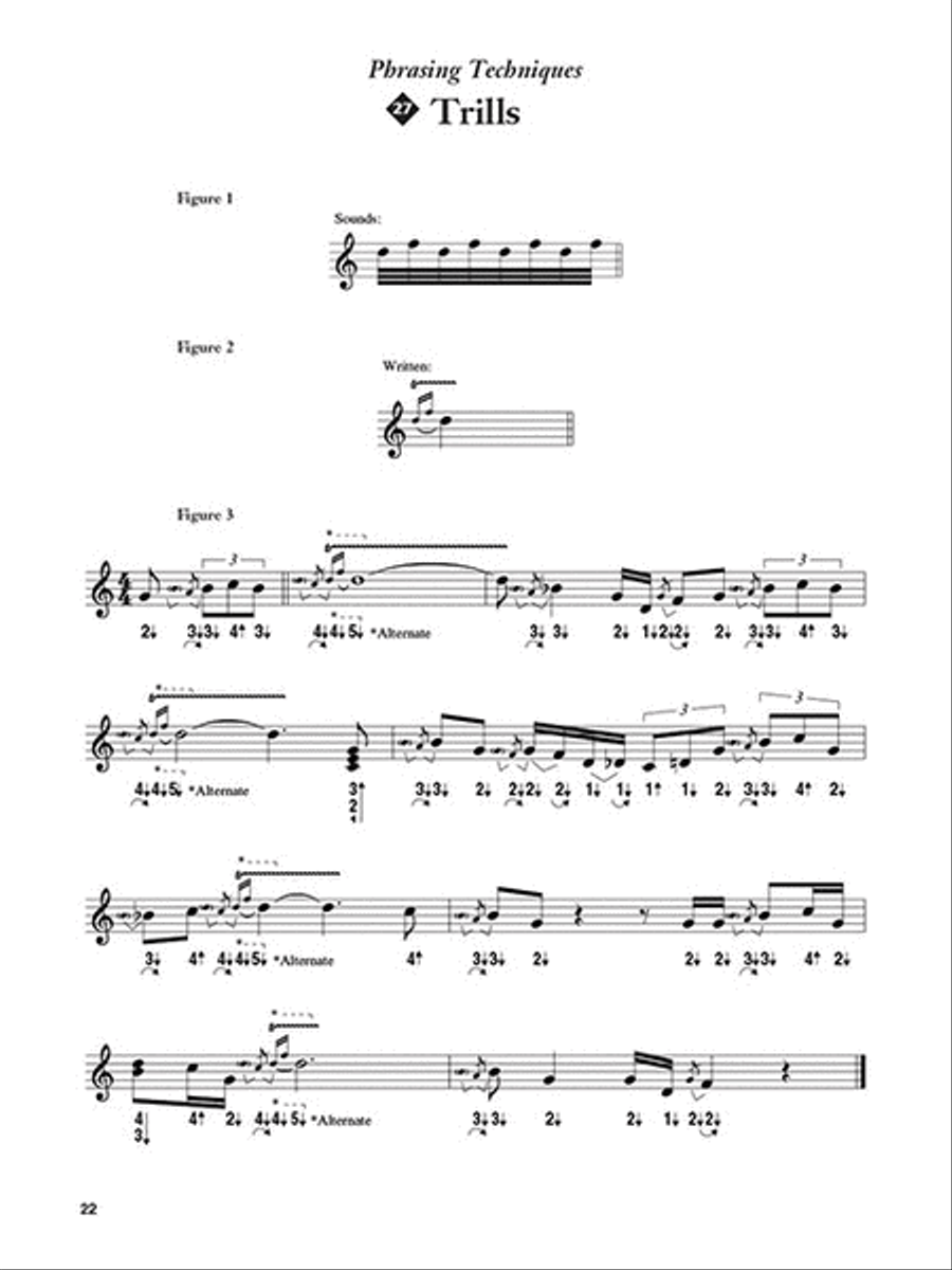 Paul Butterfield – Blues Harmonica Master Class Electric Guitar scores gallery preview page 4