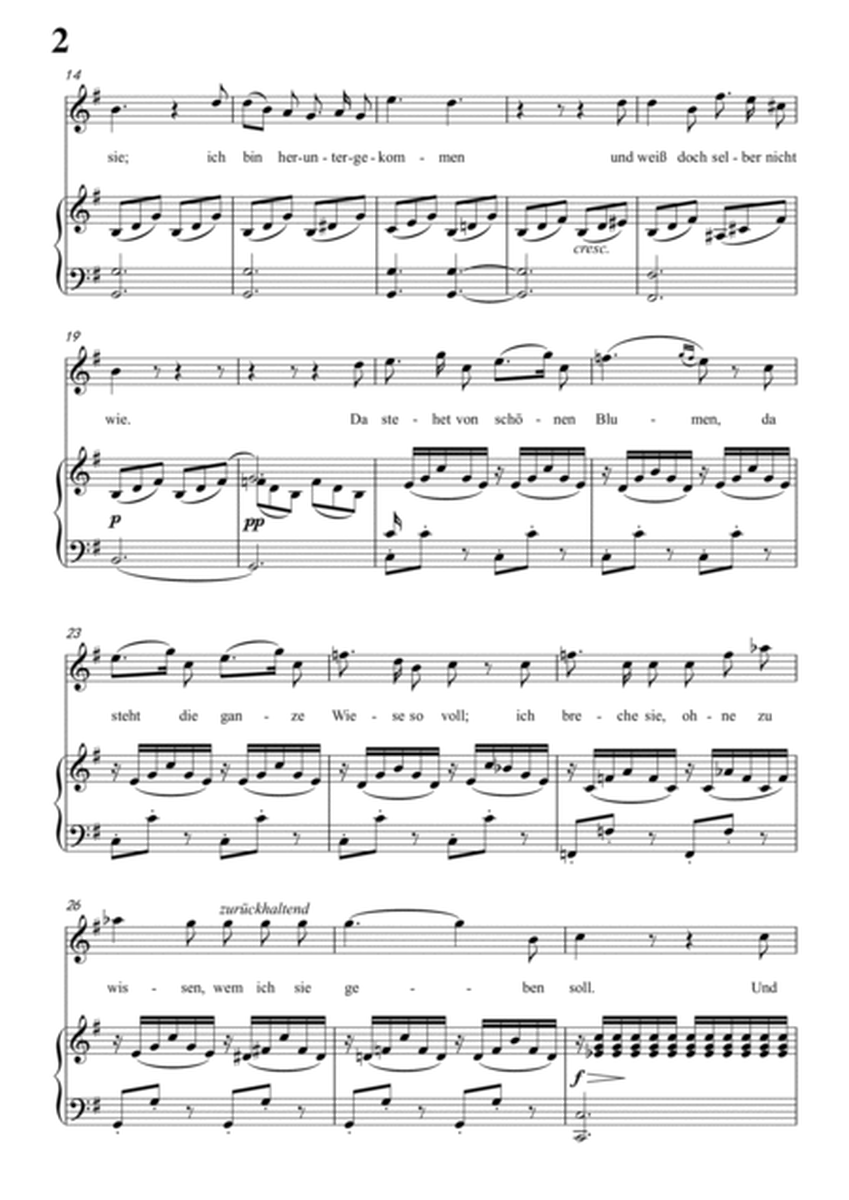 Schubert-Schäfers Klagelied in e minor,Op.3,No.1,for Vocal and Piano