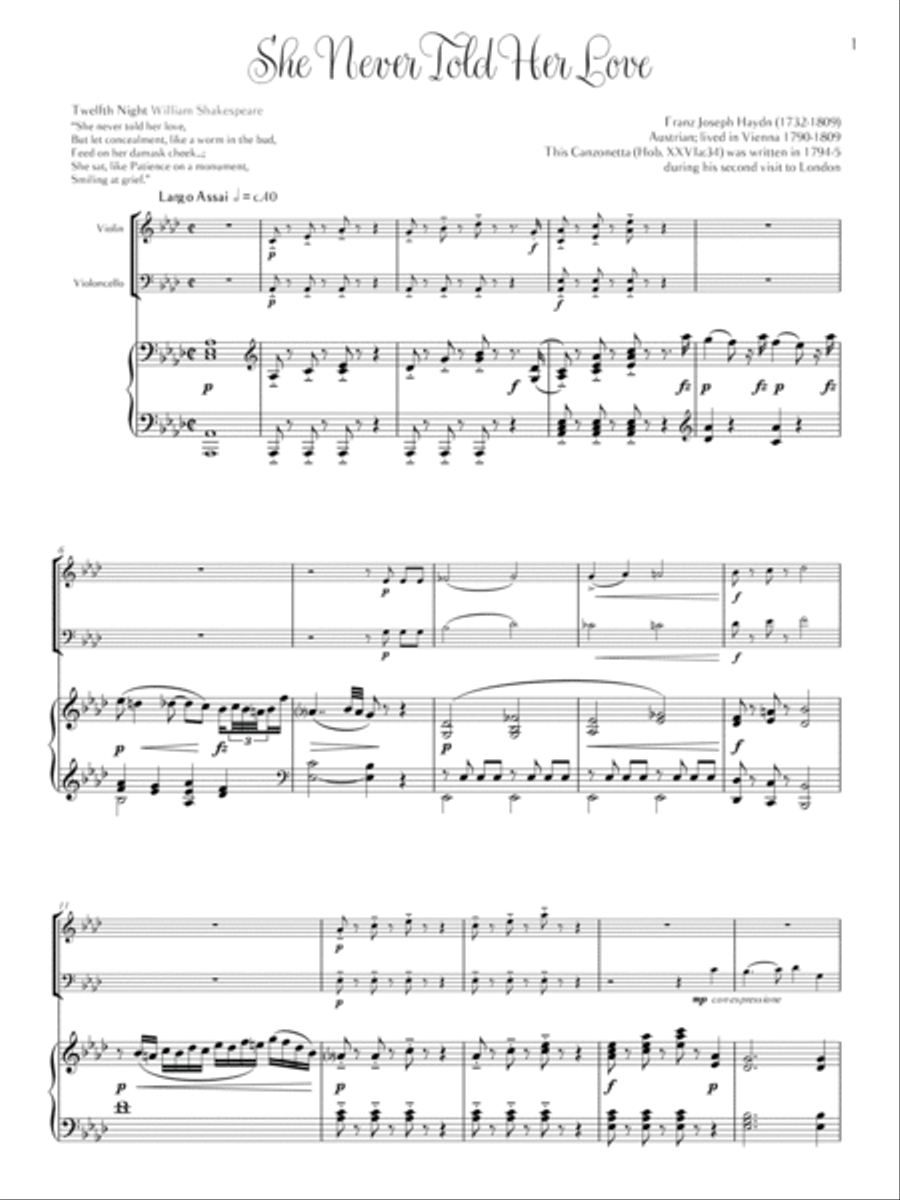 Classical Vienna Piano Trio scores gallery preview page 3