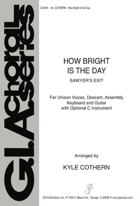 Book cover for How Bright Is the Day